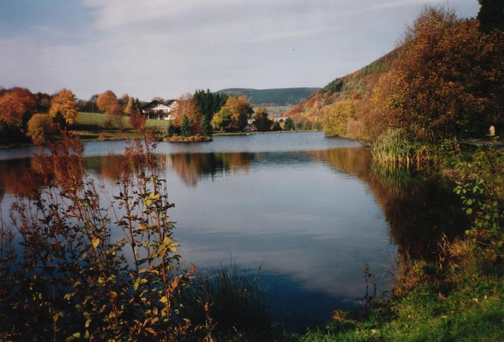 Haus Kesper-Bruenen Willingen (Upland) Exterior photo