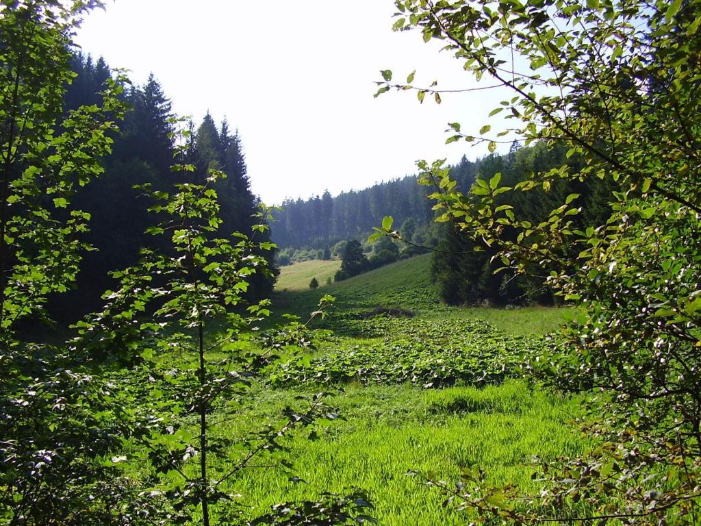 Haus Kesper-Bruenen Willingen (Upland) Exterior photo